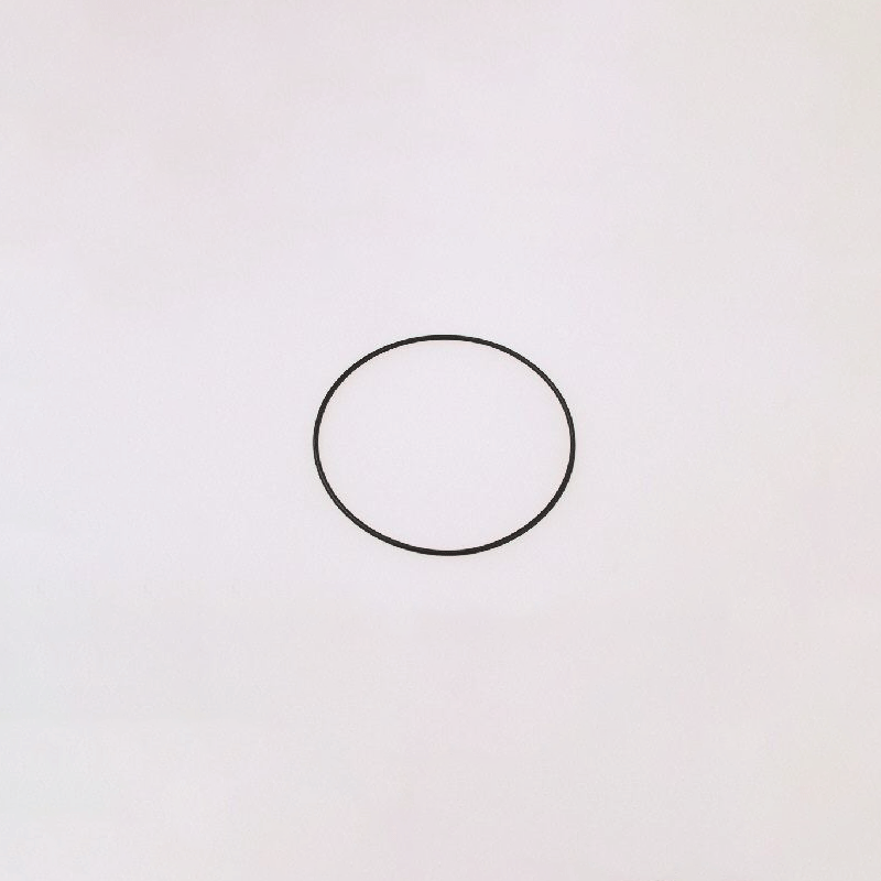 O-ring 0046247