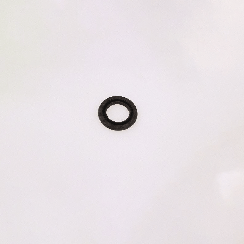 Piston Gasket 0010340