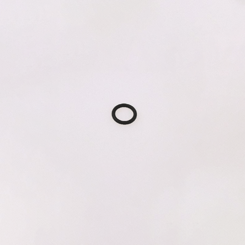 O-ring 0001066
